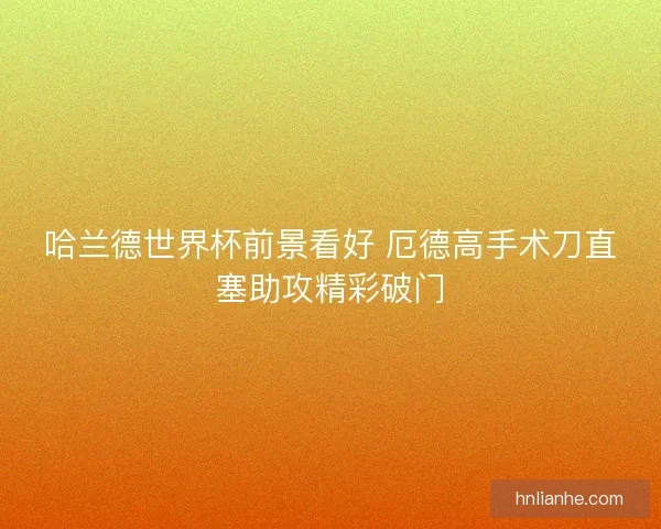 哈兰德世界杯前景看好 厄德高手术刀直塞助攻精彩破门